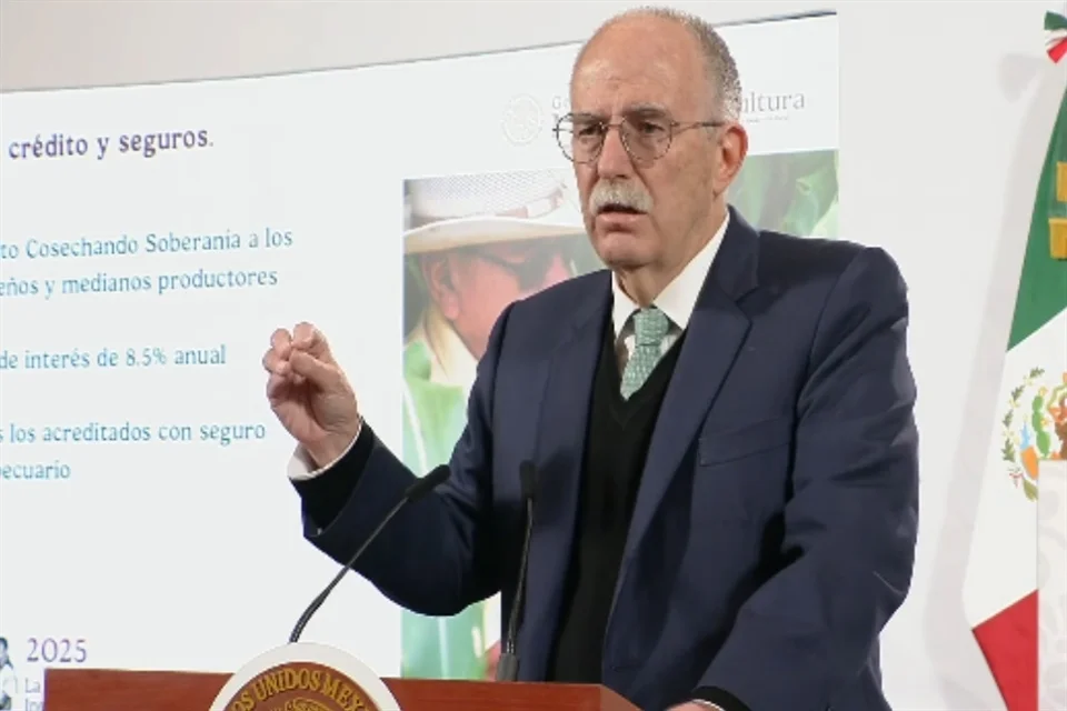 Gestión y comercialización de maíz