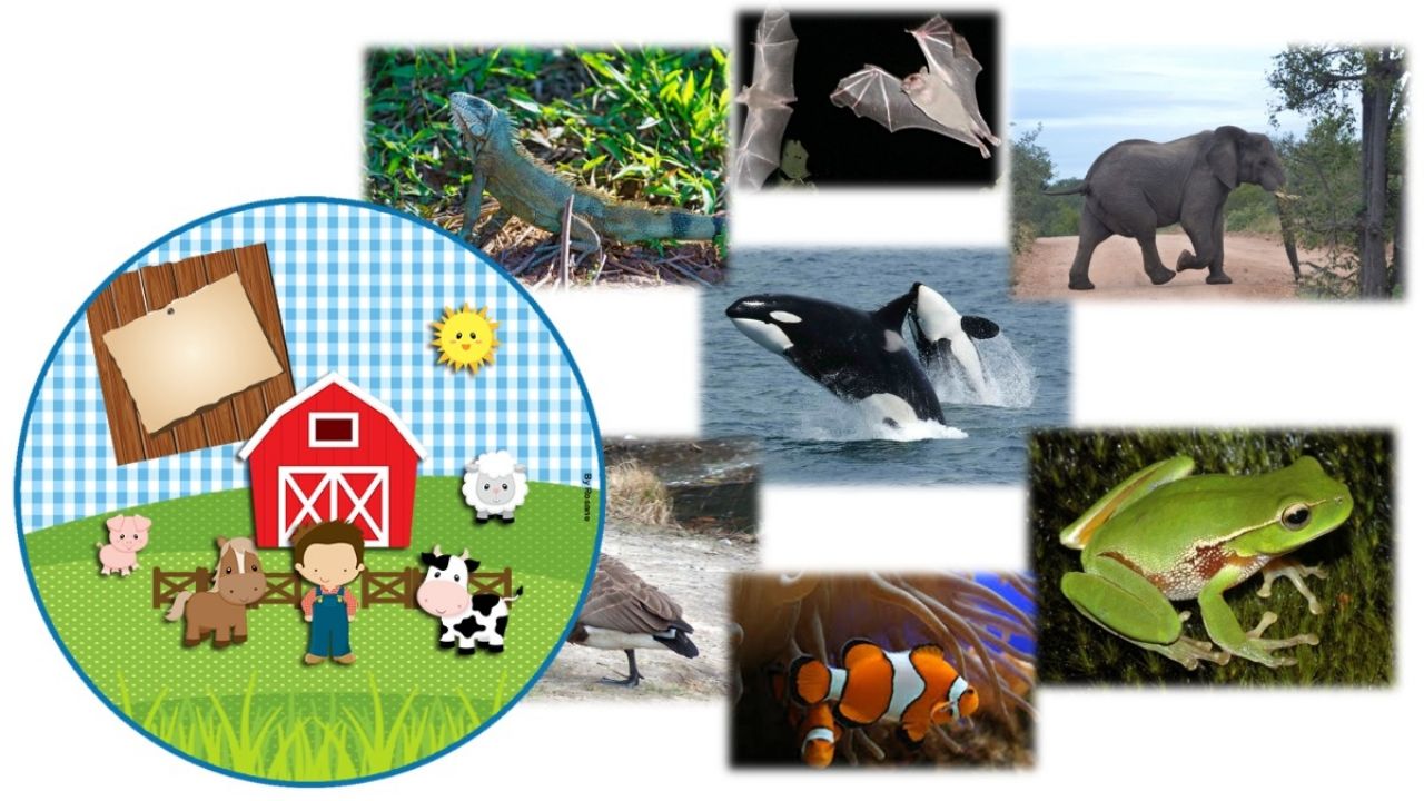 Día Mundial de la Vida Silvestre: Un Legado, Cuidado y Futuro (4 de Octubre)