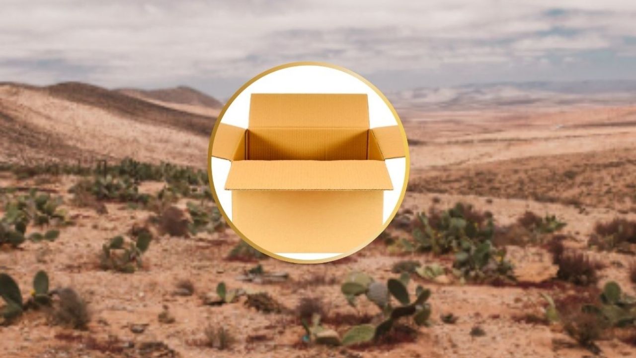 Hallazgo espeluznante en depósito del desierto.