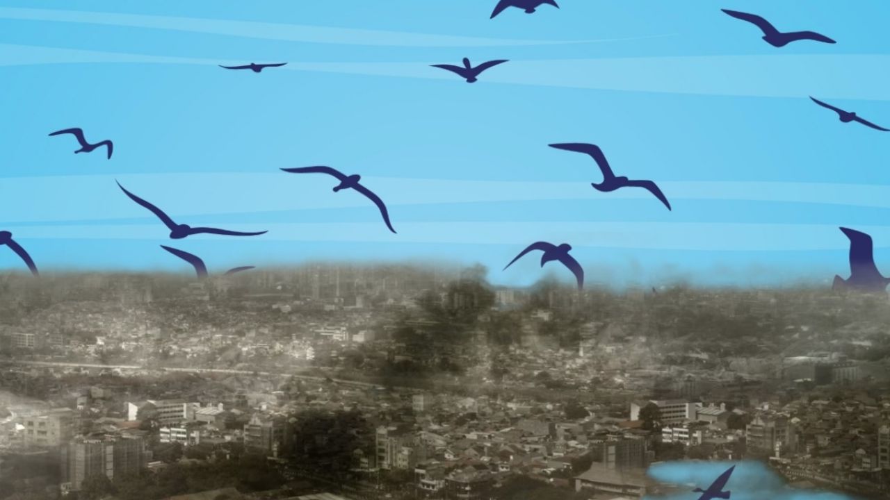 Comportamiento inusual de las aves, señal de un inminente desastre global, advierten especialistas.