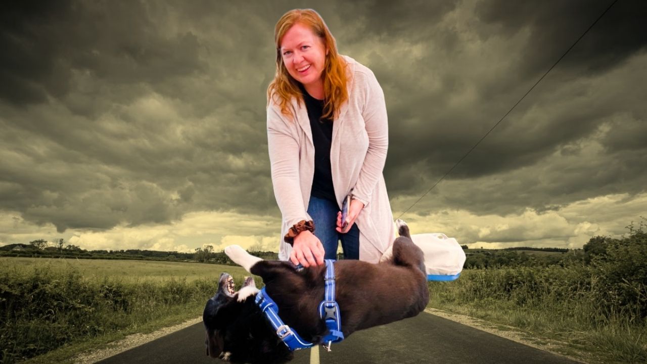 Cachorro reencontrado tras tres meses desaparecido por temporal.