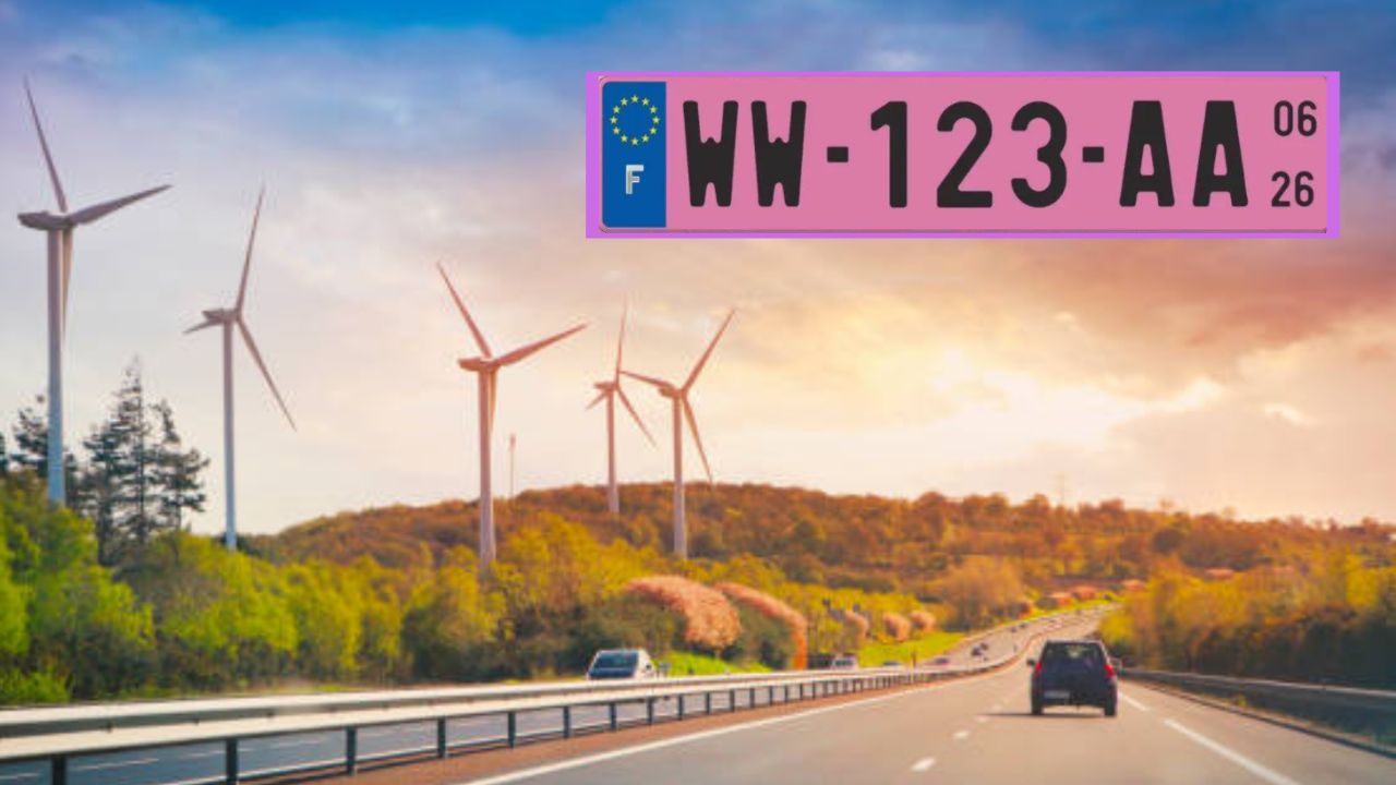 Matrículas de color rosa: un país teñido de asombro y debate a partir de 2026.