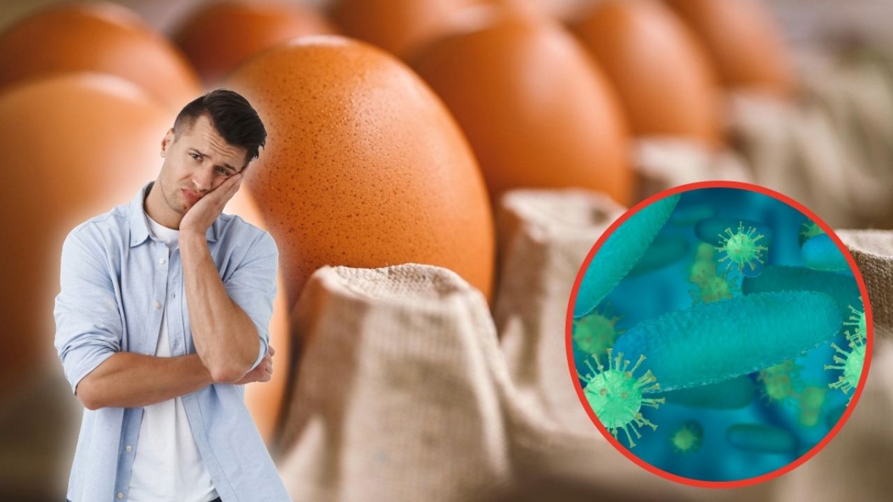 * Detectan salmonela en huevos; se retiran del mercado.
* Por seguridad alimentaria, retiran huevos por posible contaminación de salmonela.
* Huevos retirados del comercio debido a hallazgo de salmonela.