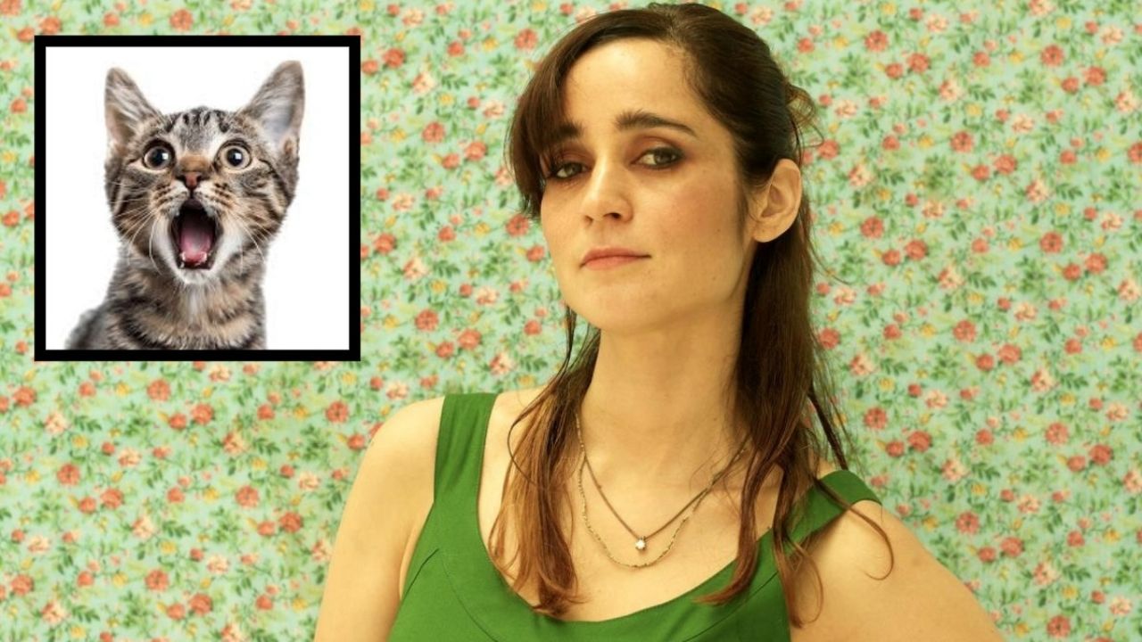 ¿El conocido éxito de Julieta Venegas dedicado a su gato? Conoce la verdad.
