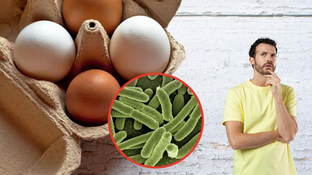 Recomendaciones para prevenir la salmonela tras la retirada de huevos