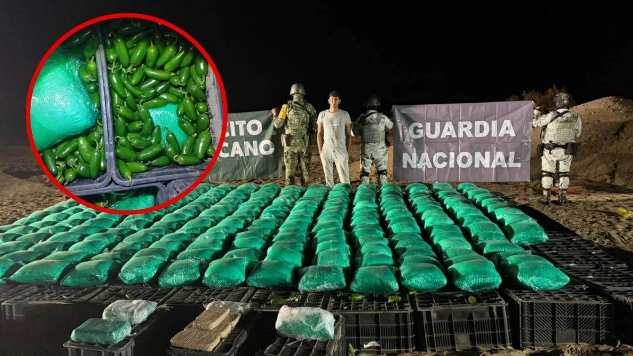 Incautan mil kilos de metanfetamina camuflada en chiles en Sonora