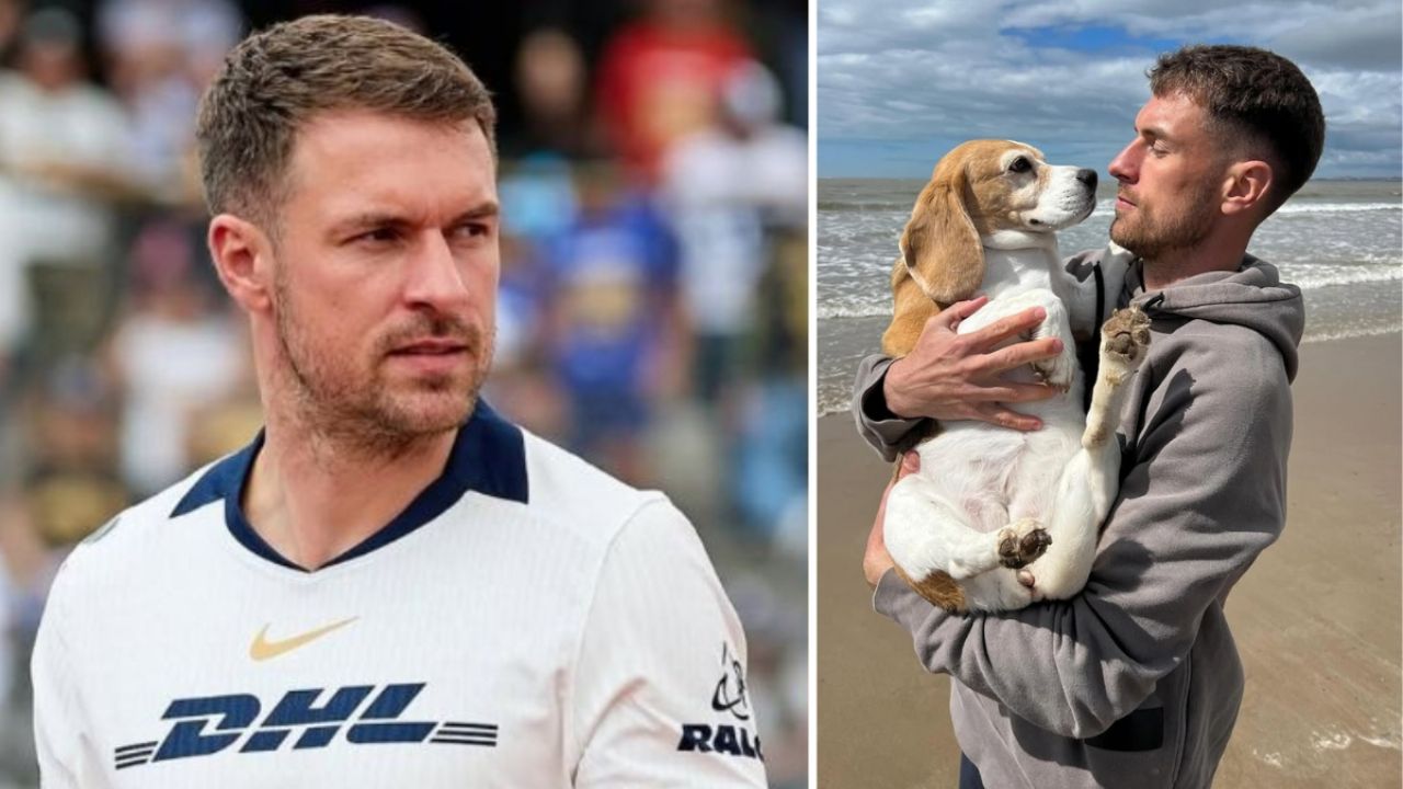 Ramsey deja México; ¿su perra desaparecida “Halo” motivó su partida?