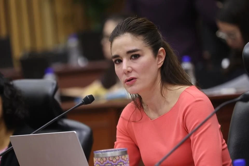 Pagos atrasados a consejeros generan inquietud en el INE