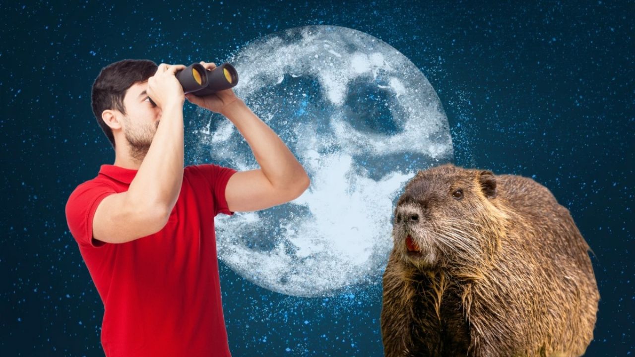 El evento astronómico pivotal de la Luna Nueva del Castor 2025.