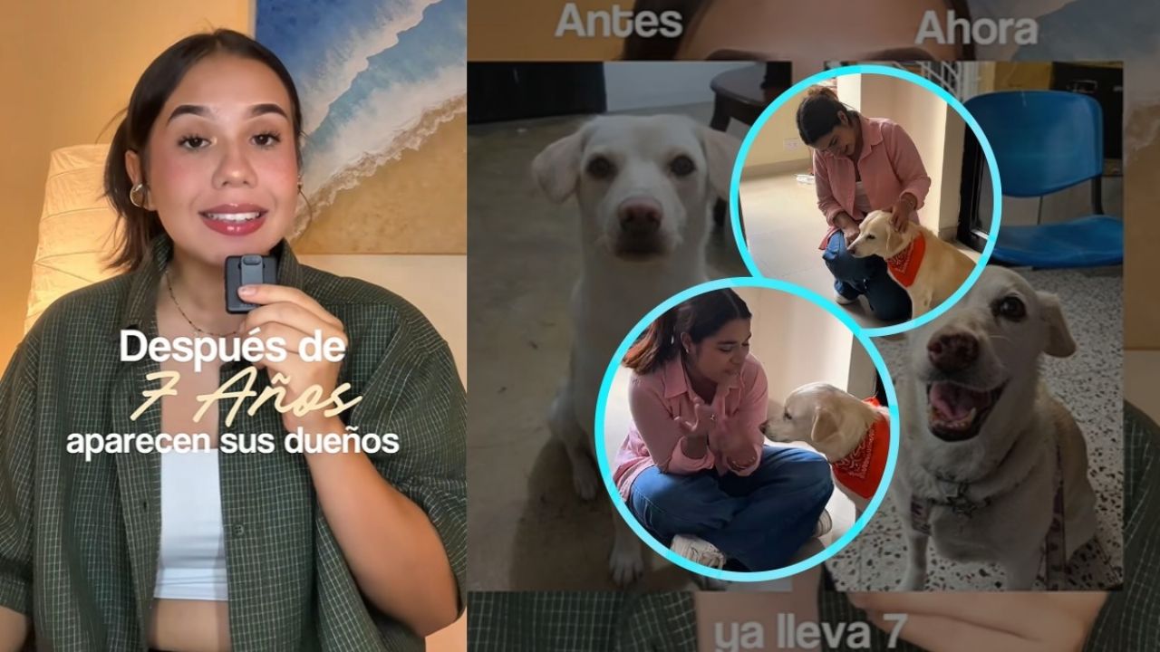 Reunión conmovedora: La perra y su dueña se reencuentran después de siete años.
