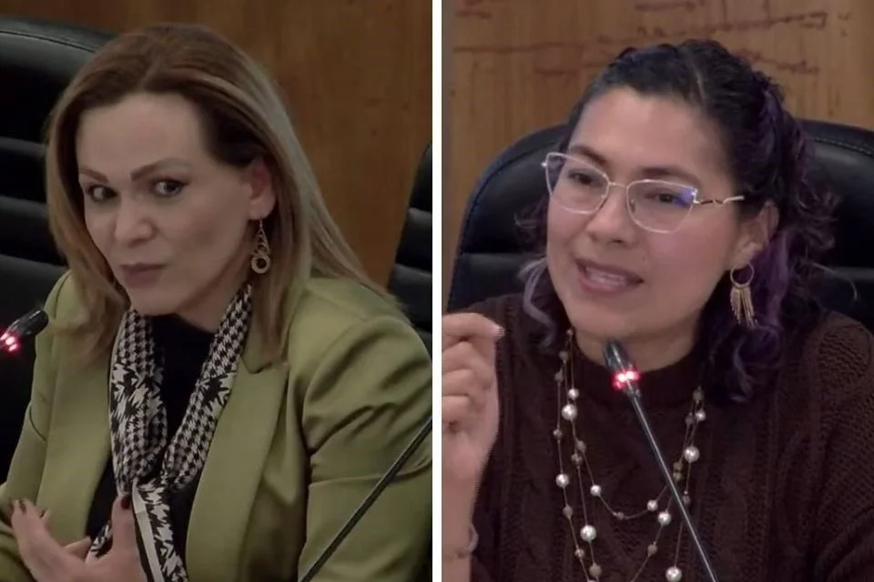 Simplificar la creación de organizaciones políticas indígenas.