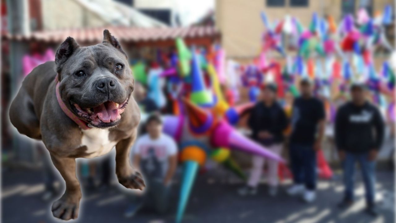 El perro animado se robó la piñata en la fiesta, superando al Grinch en entusiasmo.
