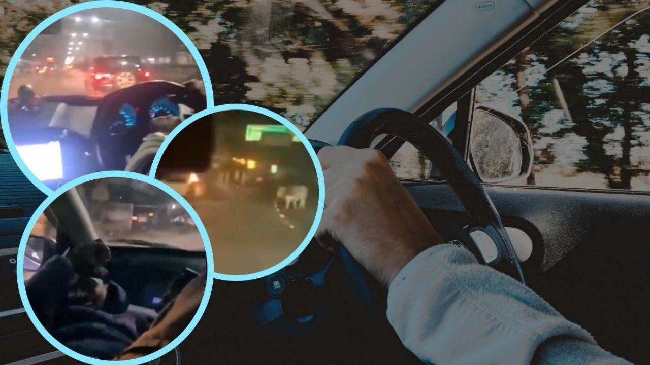 Grabación muestra accidente mortal: Cuatro jóvenes fallecen en evento trágico