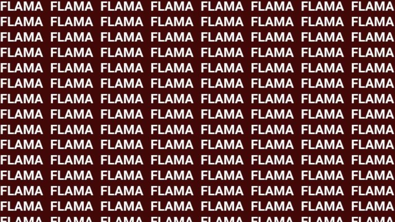 ¿Puedes identificar la “FLEMA” en 5 segundos?