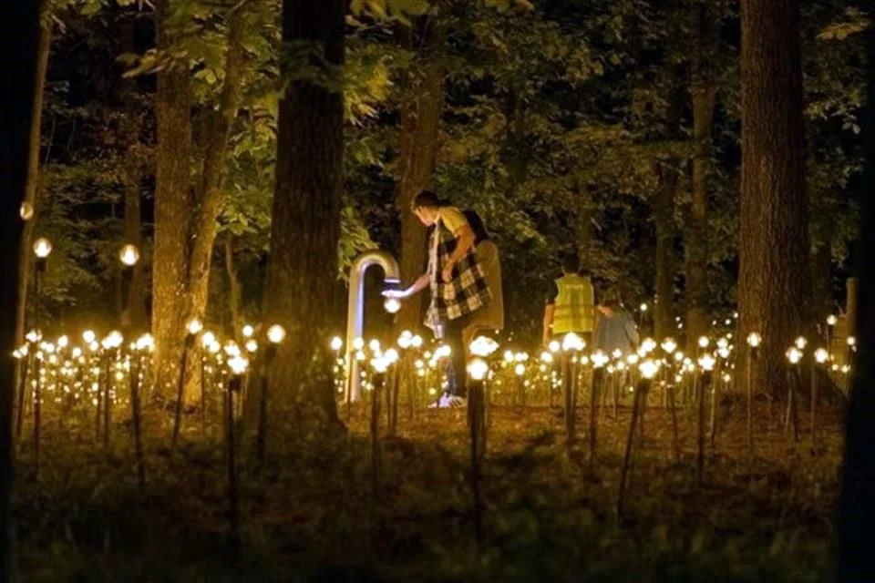 Rafael Lozano-Hemmer inaugura su muestra «Jardín inconcluso» en el Museo de Arte Moderno.