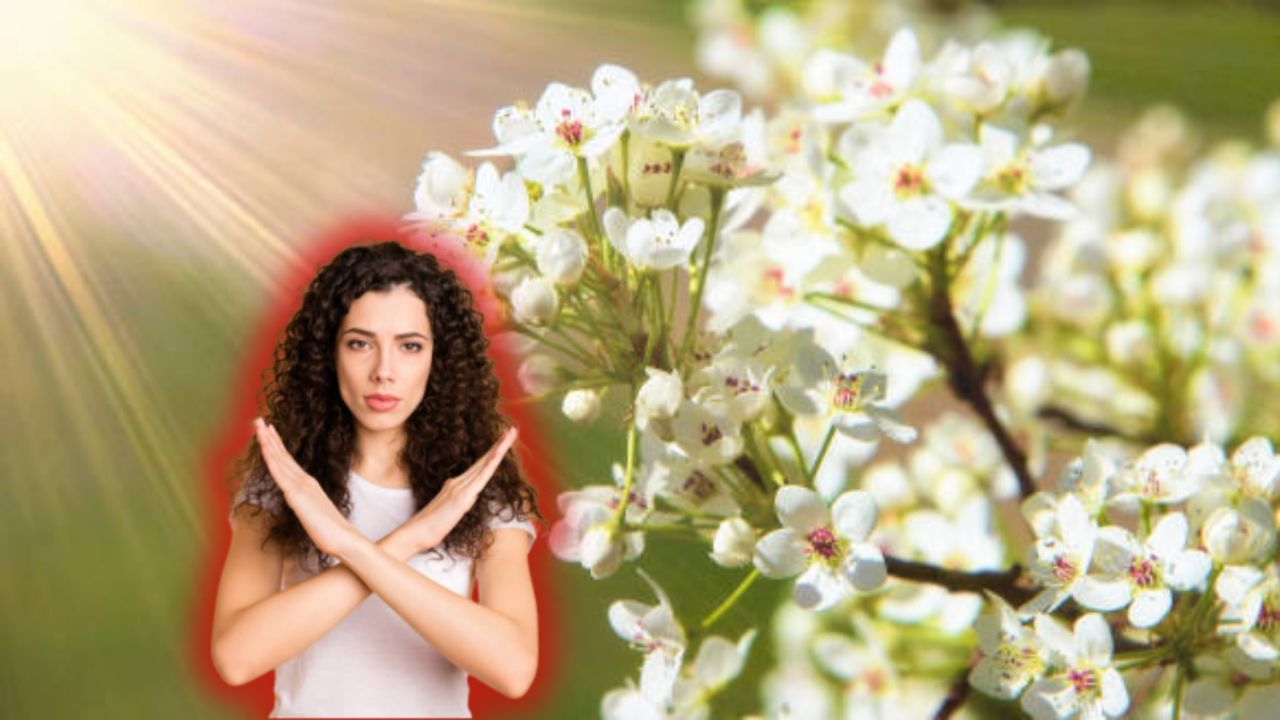 Árboles problemáticos: 7 especies que los expertos advierten evitar para un jardín sin complicaciones.