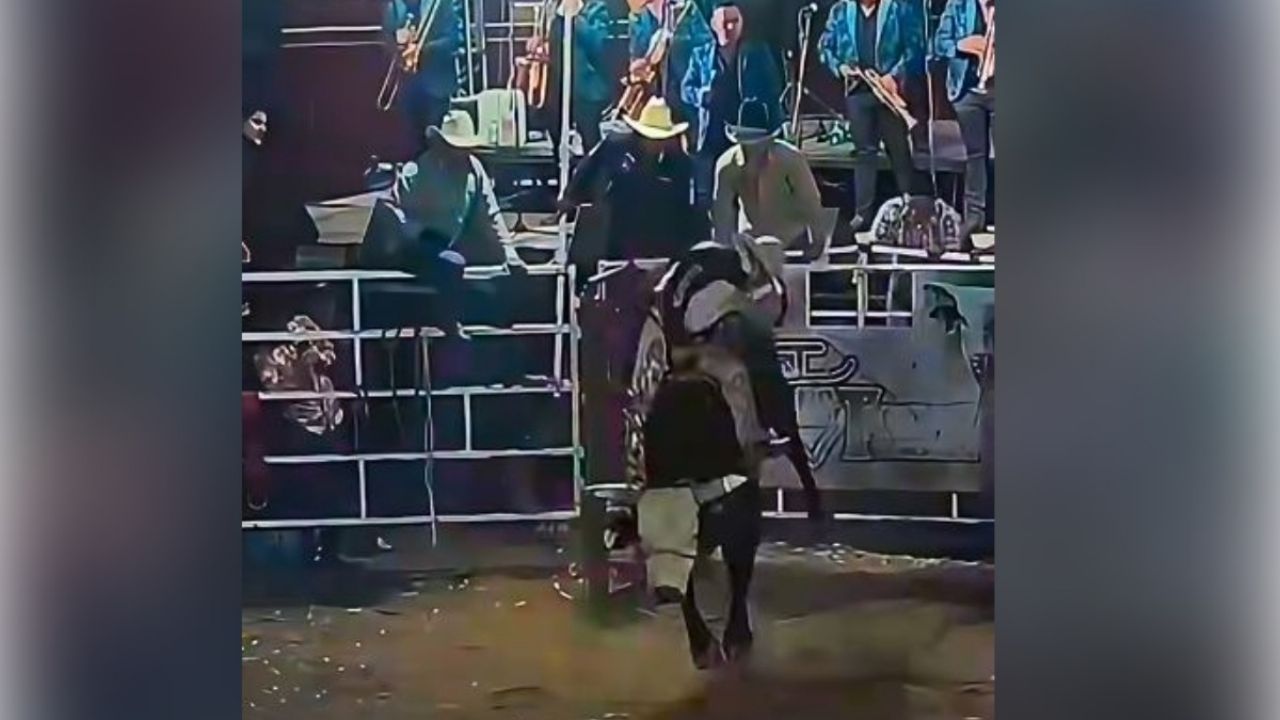 Adiós a una estrella ecuestre: Fallece jinete en aterrador incidente con toro, el dramático suceso queda grabado.