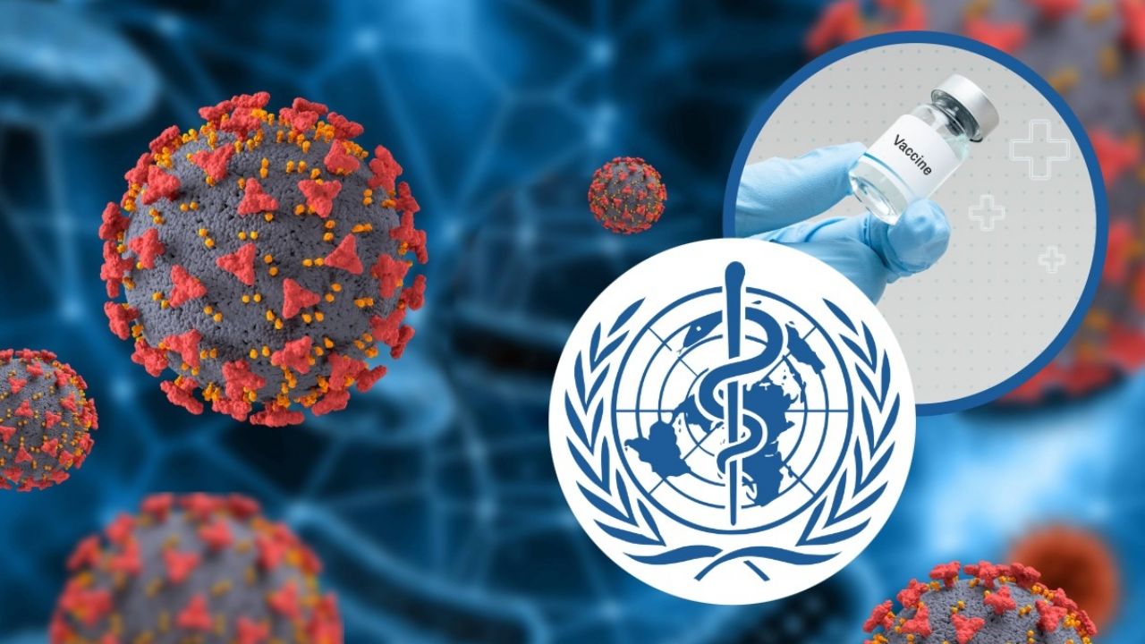 La OMS actualiza sobre avances en la vacuna o cura contra el virus Nipah.