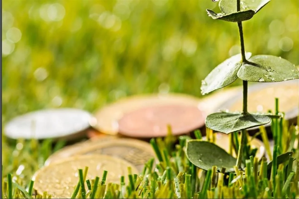 La Secretaría de Hacienda y Crédito Público coloca deuda sustentable por un valor de 35 mil millones de pesos.