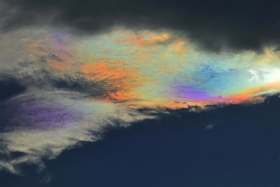 Inteligencia artificial y ecosistemas: un estudio.