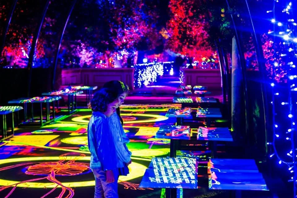 Alicia te transporta a un reino fantástico y envolvente.