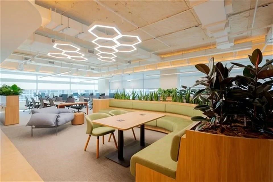 Fomentan un ambiente laboral positivo y confortable.