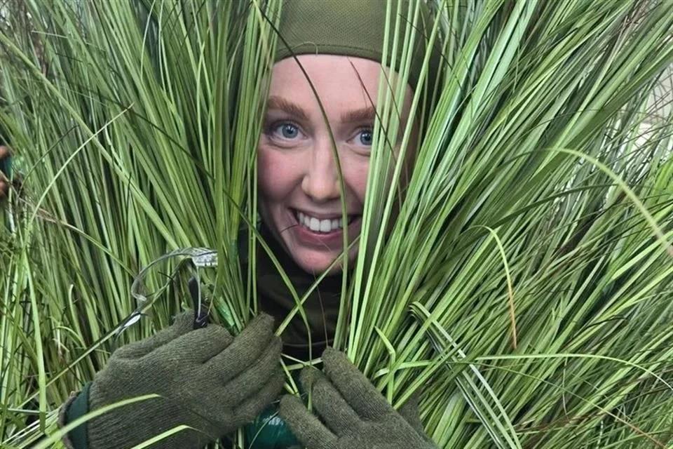 El equipo de Bad Bunny cobra ,309 actuando como “árboles” humanos.