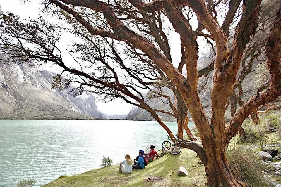 Sonidos de la sierra peruana