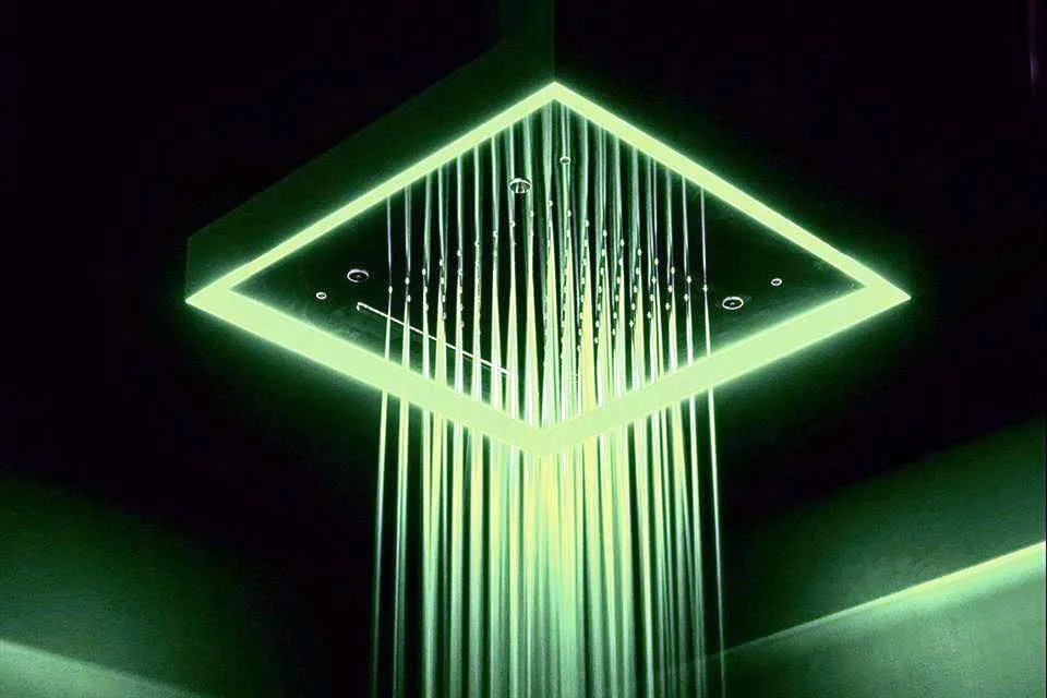 Experiencia sensorial completa