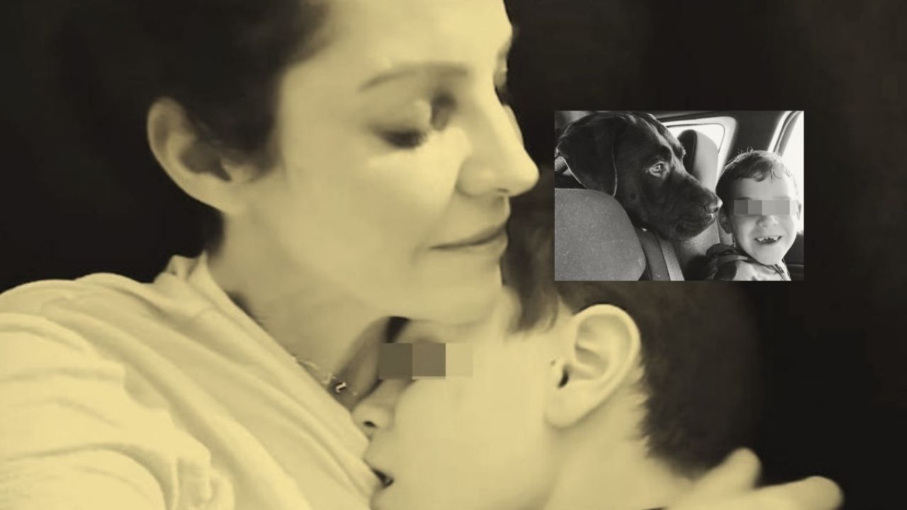 Superviviente de una tragedia familiar y de mascotas comparte su testimonio.
