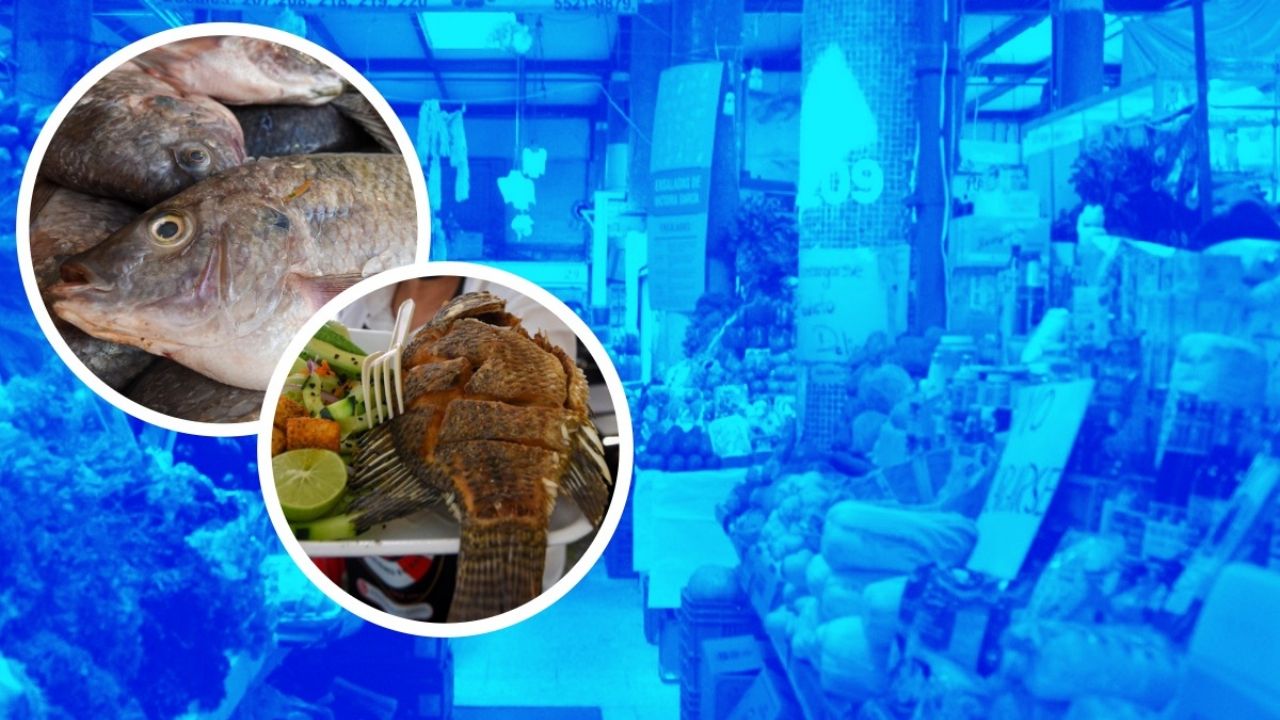 Mercados CDMX: Mariscos frescos y a buen precio para la Cuaresma, una alternativa superior a La Viga.