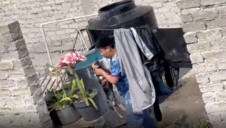 Piden ayuda para cachorro gravemente herido por un niño.