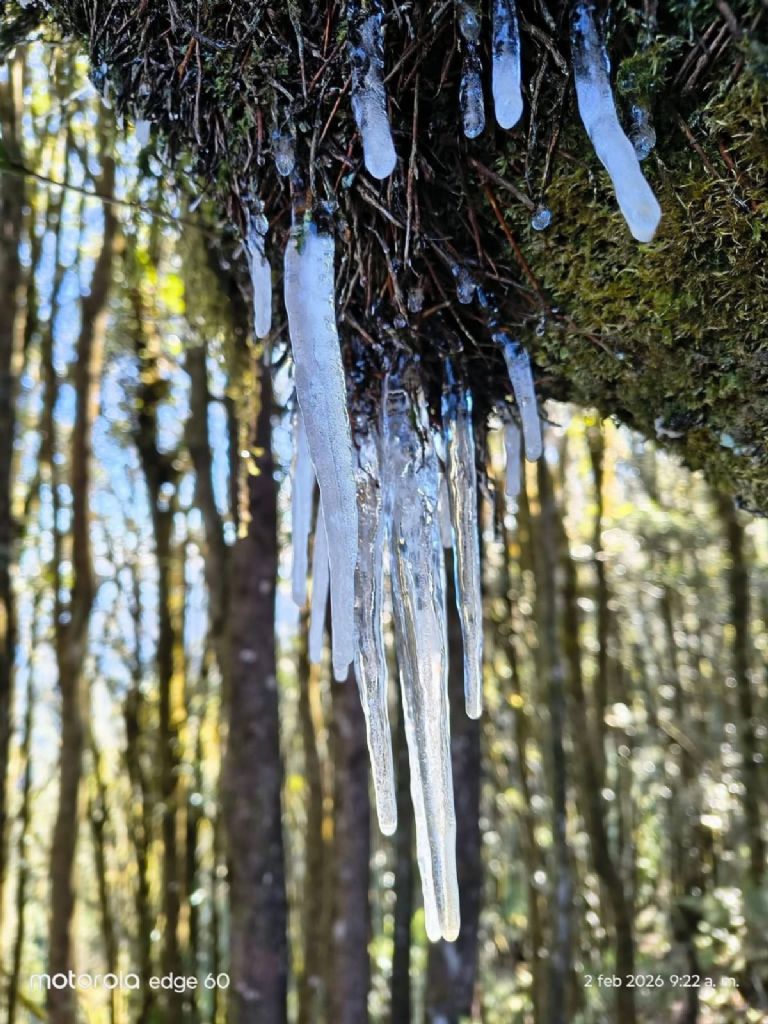 Muere una persona por heladas en Chiapas; temperaturas bajo cero en la región.
