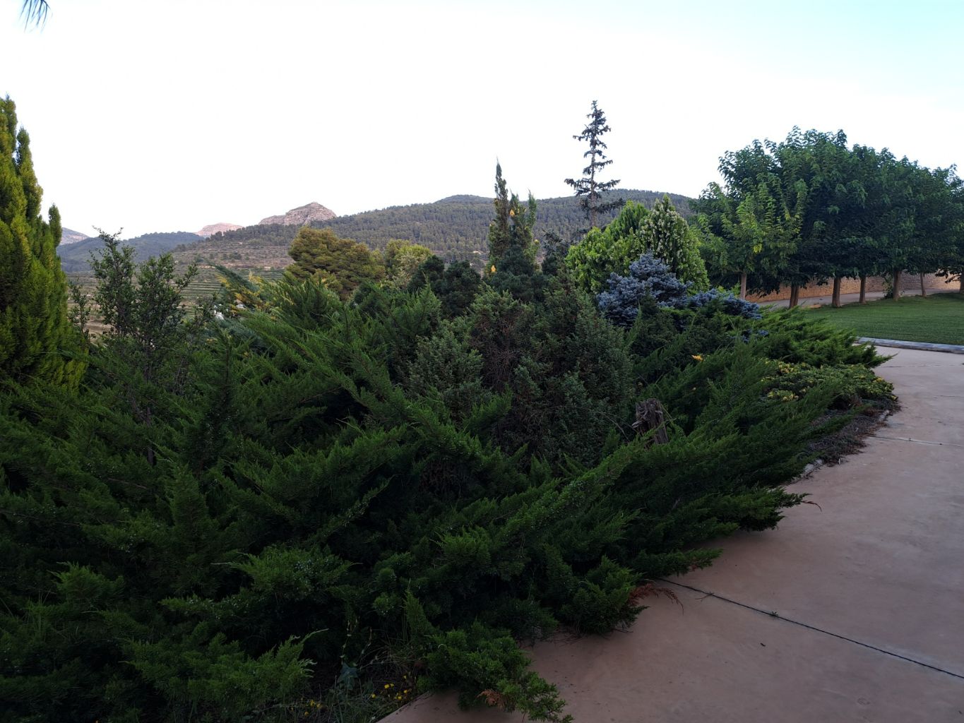 Verkoop. Finca in Guadalest