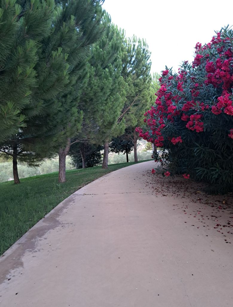 For Sale. Finca in Guadalest