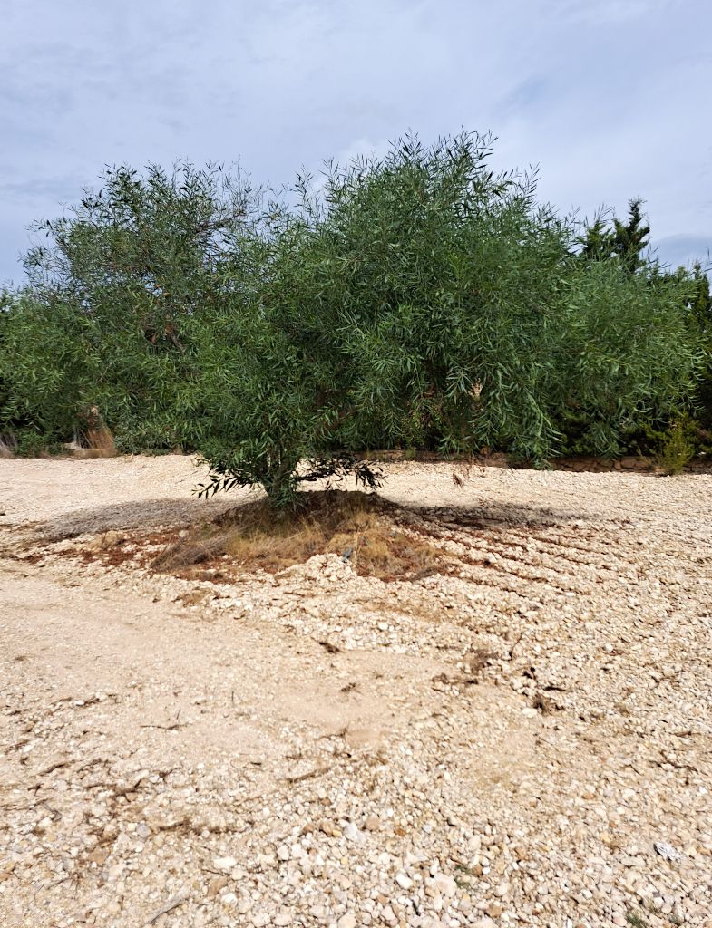 Verkauf. Gelände in La Nucia