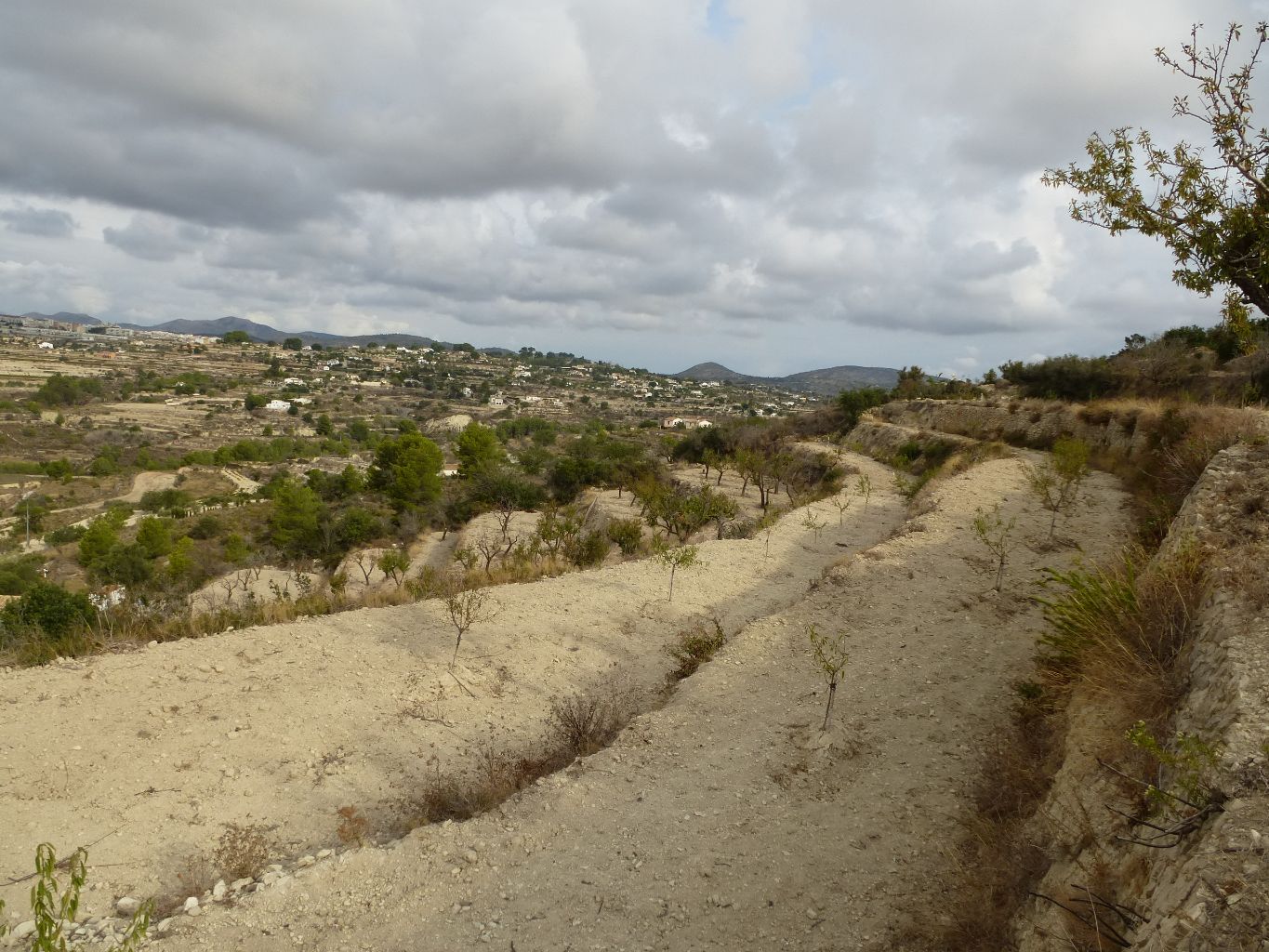 Venta. Parcela en Benissa