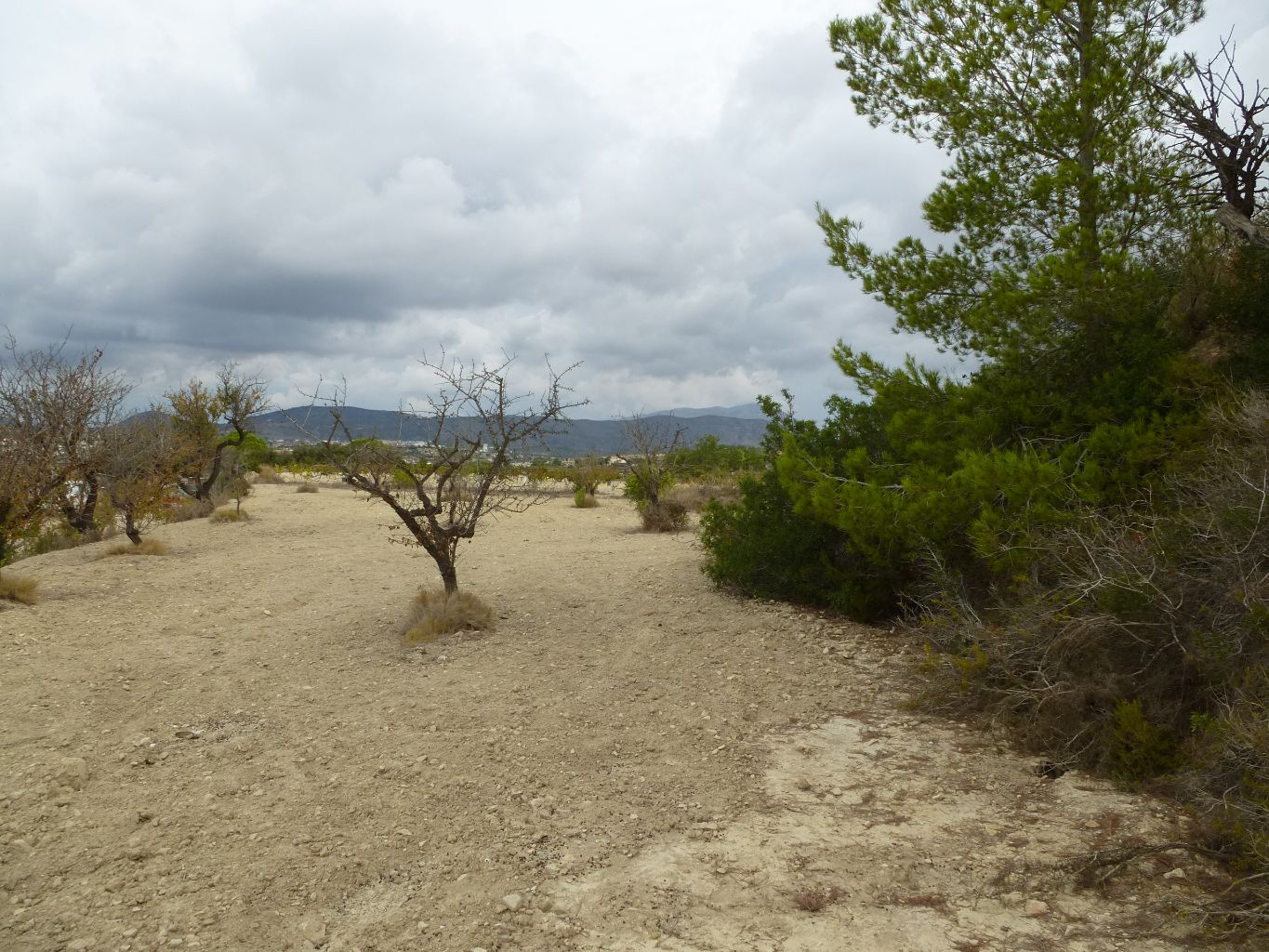 For Sale. Terrain in Benissa