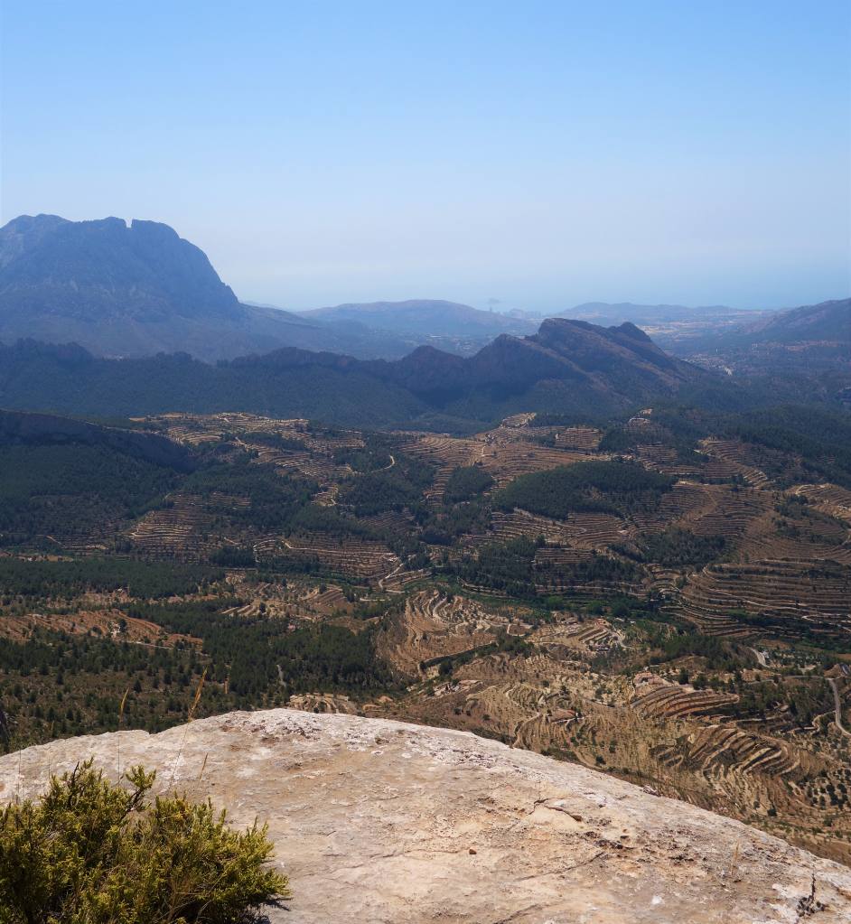 Verkoop. Finca in Sella