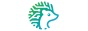 Coderizo Marketplace