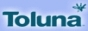 Toluna