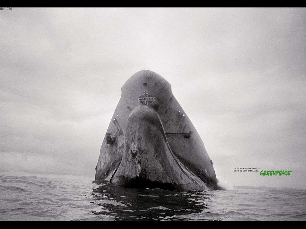 Greenpeace Rocks 1993. Амоко прикол. Кто такой Амоко. Amoco Beach. 3 greenpeace