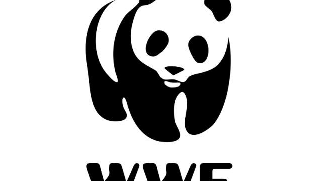 wwf panda logo