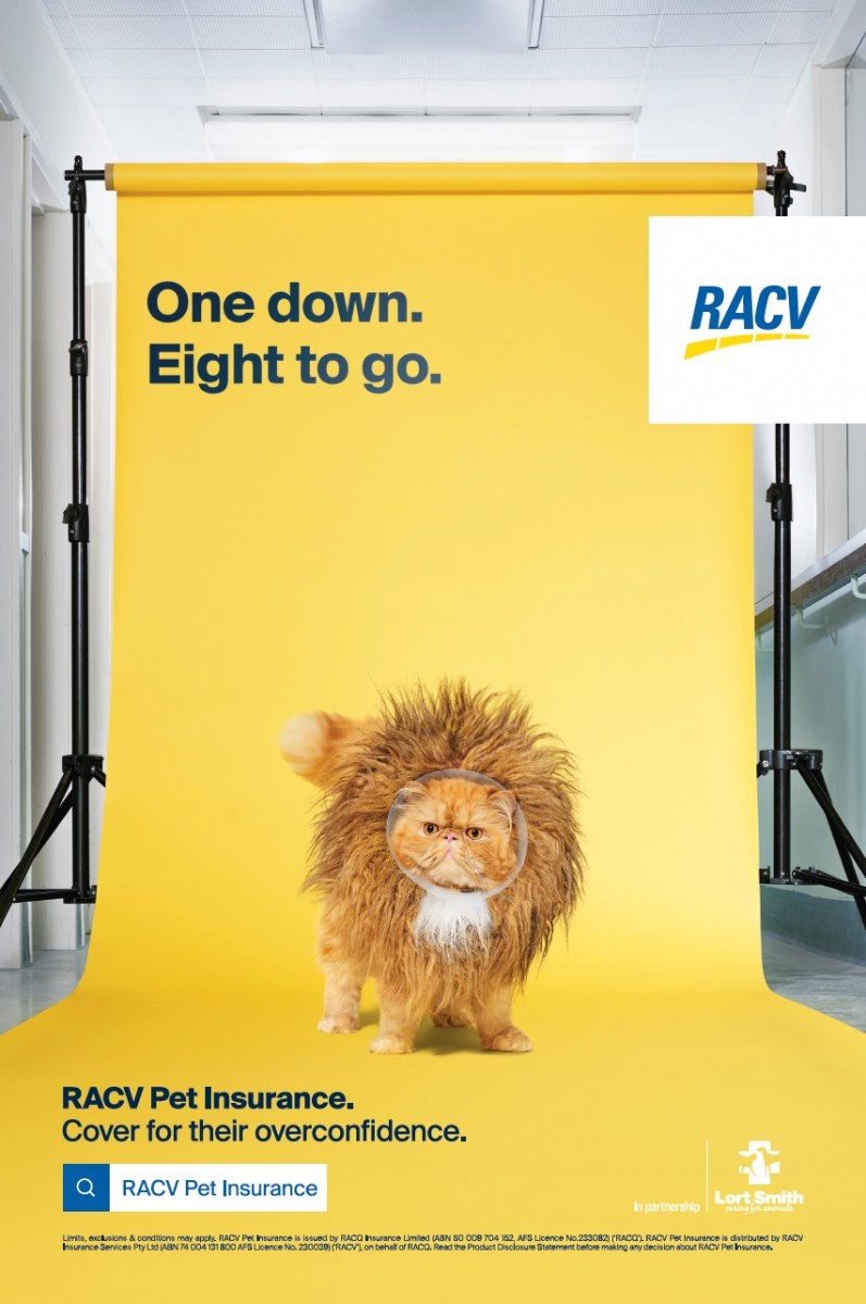 racv-cover-their-overconfidence-2