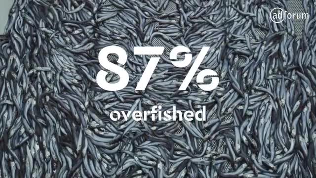 stop overfishing