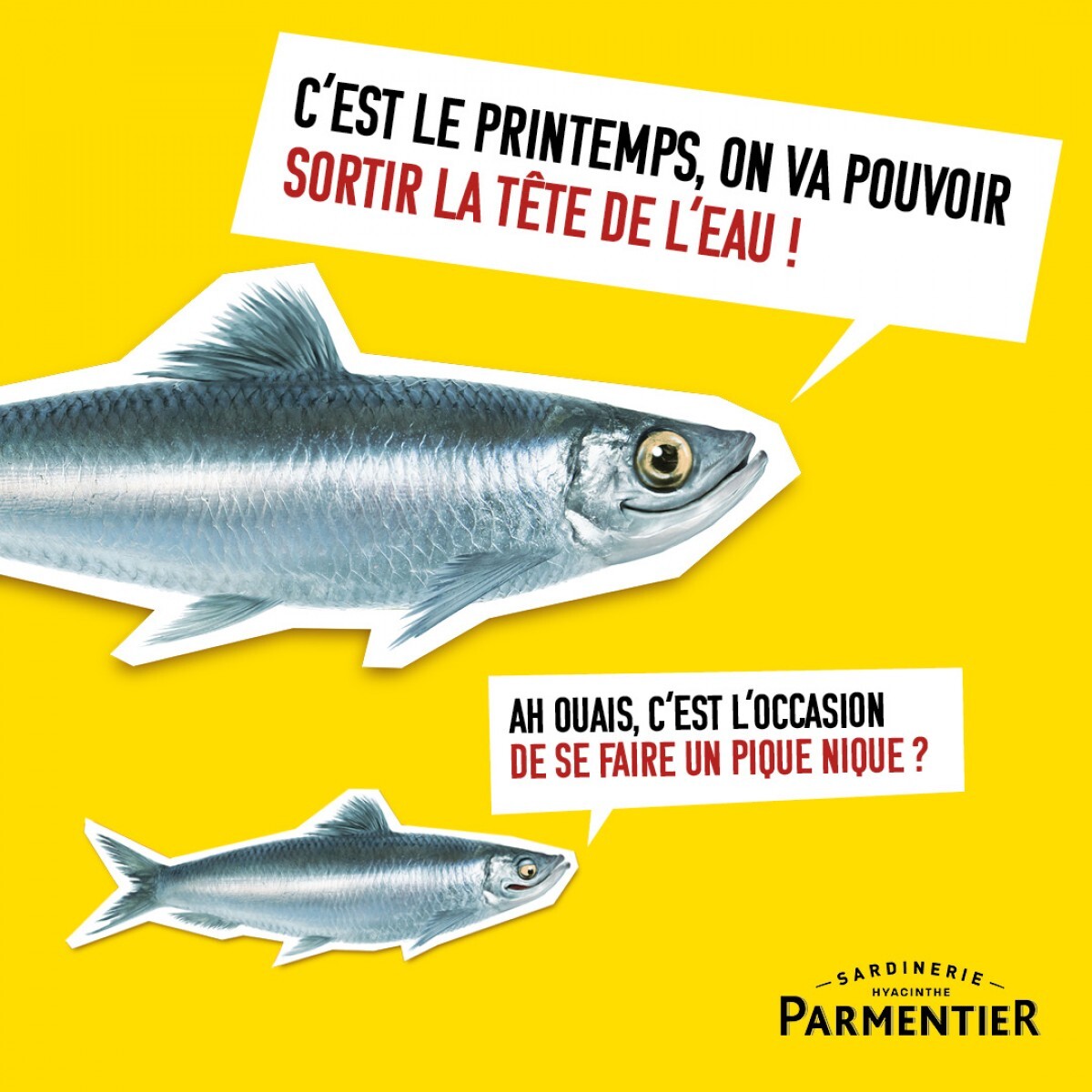 Parmentier - Les Sardines Prennent La Parole 3