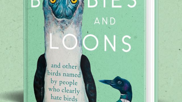 Buy Tits, Boobies and Loons: and other birds named by people who