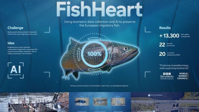 Fortum + Fishheart (board 2)