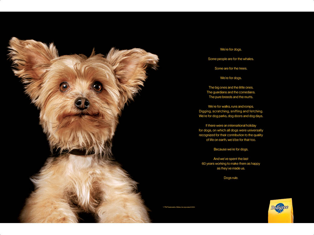 commercial appeal ads dogs