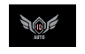 IQ Auto Used Automobile Trading LLC